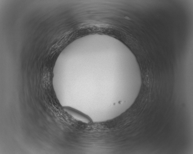 X0000085081061200703261252