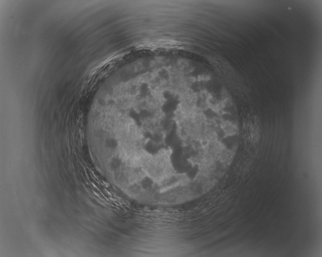 X0000085081063200703261252