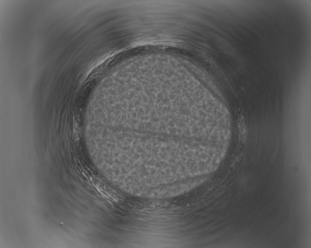 X0000085081064200703261252