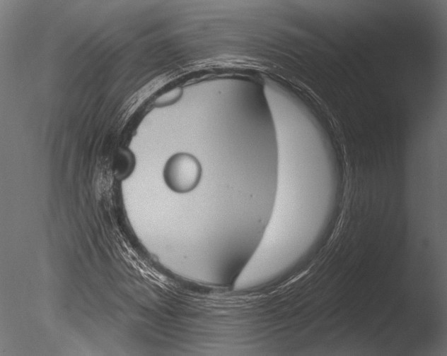 X0000085081065200703261252