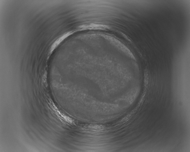 X0000085081066200703261252