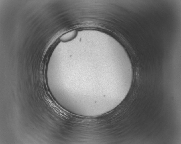 X0000085081068200703261252