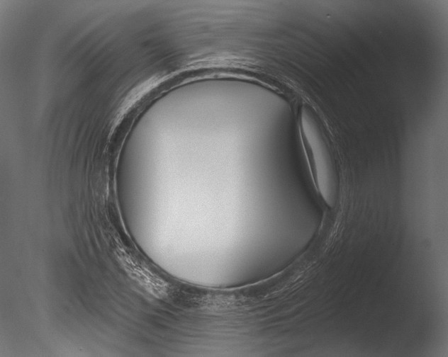 X0000085081069200703261252