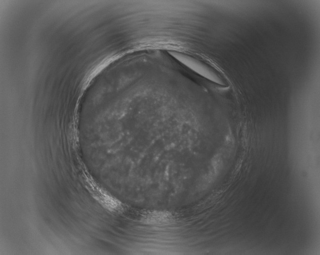 X0000085081071200703261252