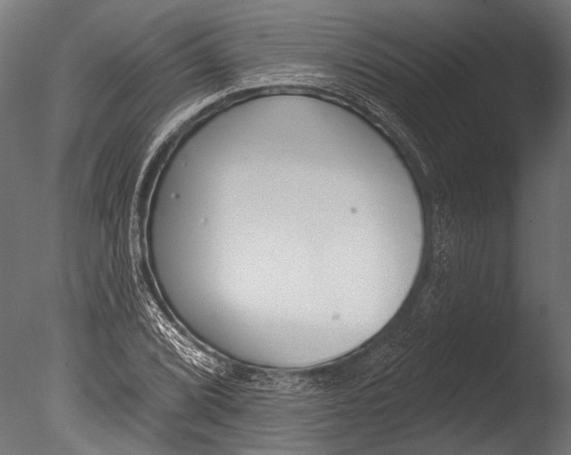 X0000085081072200703261252