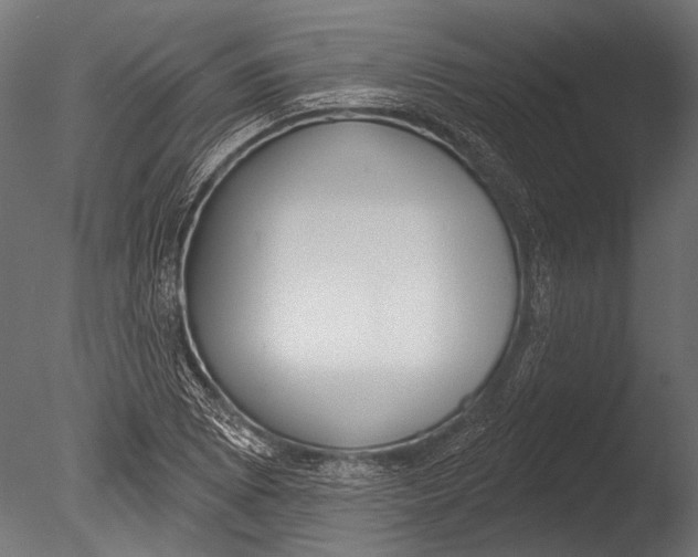 X0000085081073200703261252