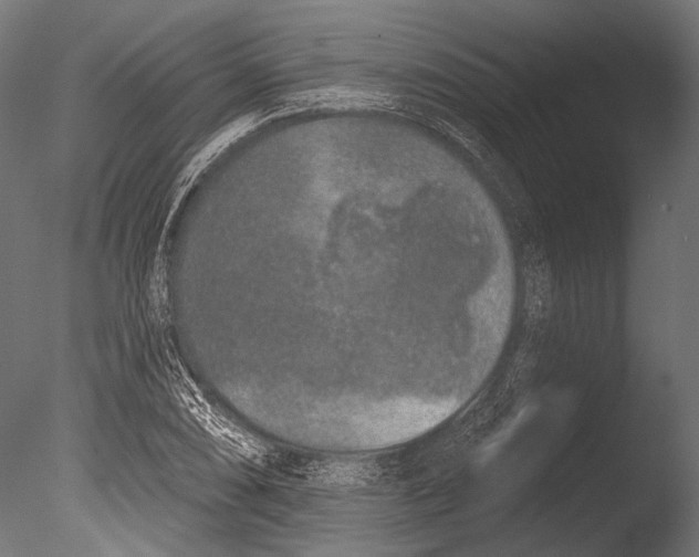 X0000085081074200703261252