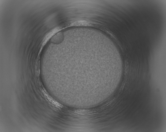 X0000085081075200703261252