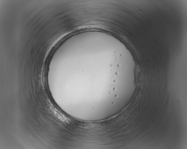 X0000085081076200703261252