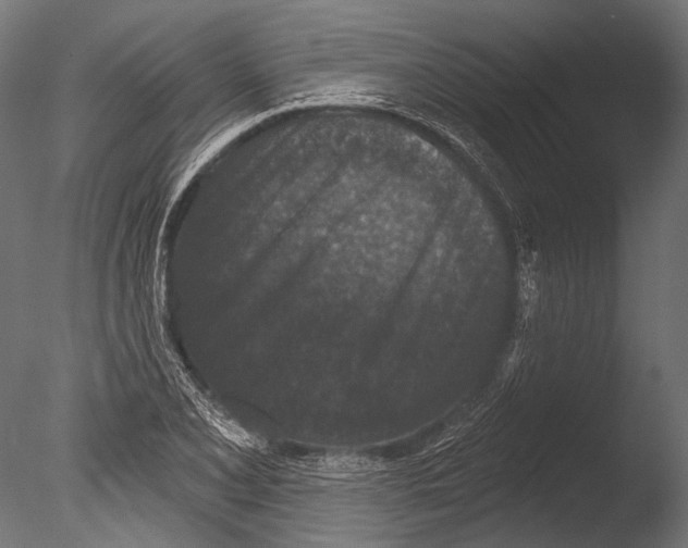 X0000085081077200703261252