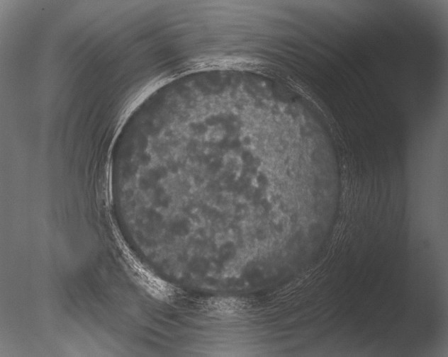 X0000085081079200703261252