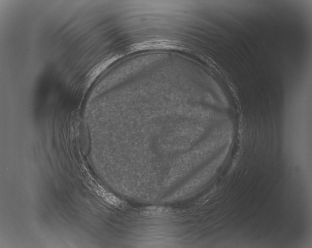 X0000085081081200703261252