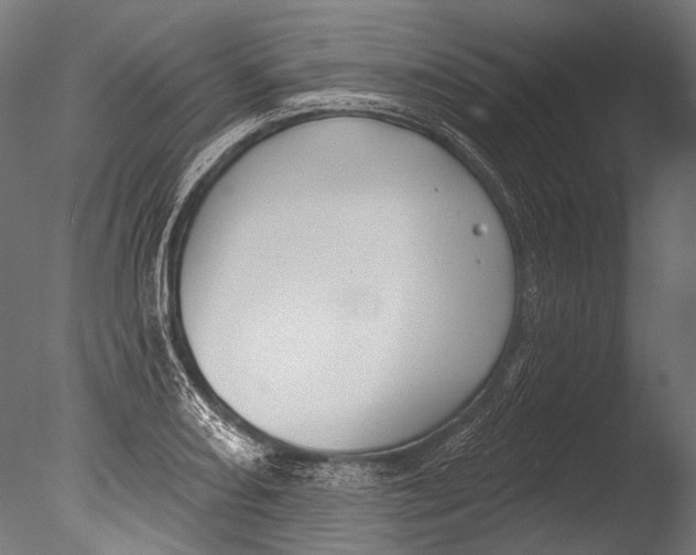 X0000085081082200703261252