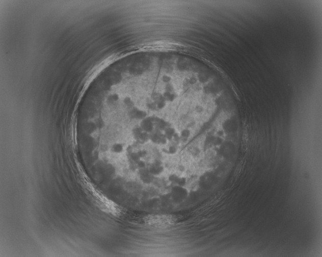 X0000085081083200703261252