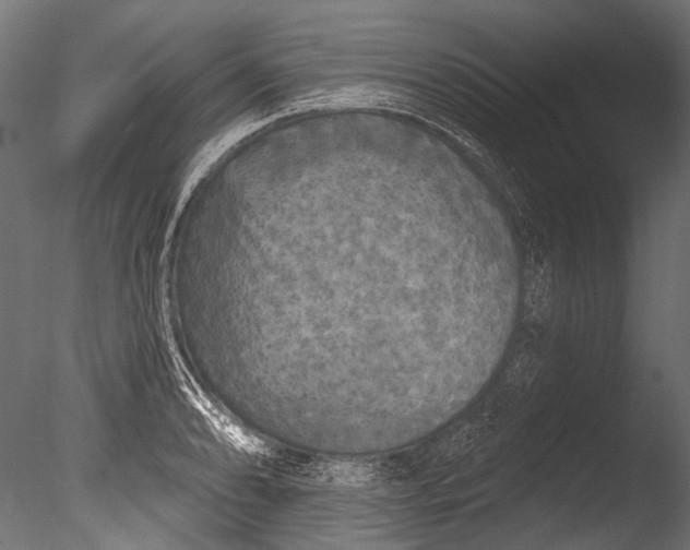 X0000085081086200703261252