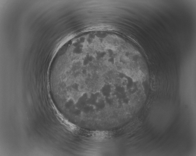 X0000085081087200703261252