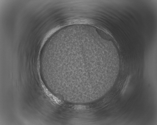 X0000085081088200703261252