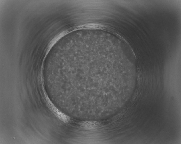 X0000085081091200703261251