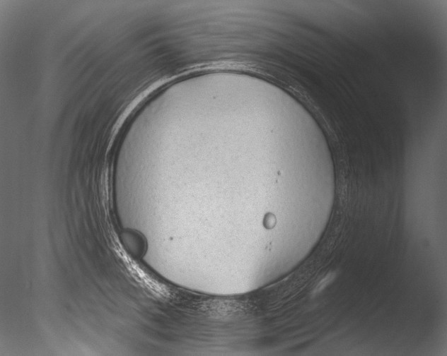 X0000085081092200703261251