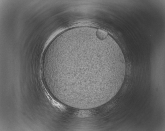 X0000085081094200703261251