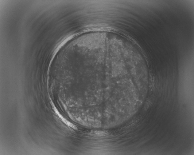 X0000085081095200703261251