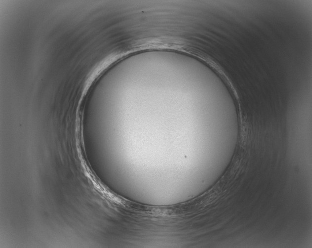 X0000085081096200703261251