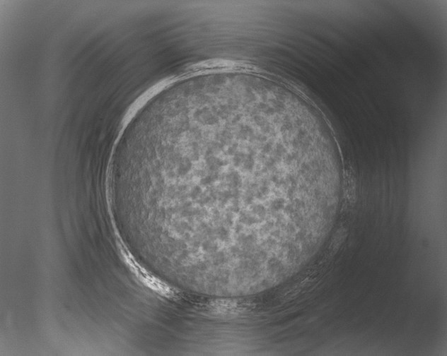 X0000085081098200703261251