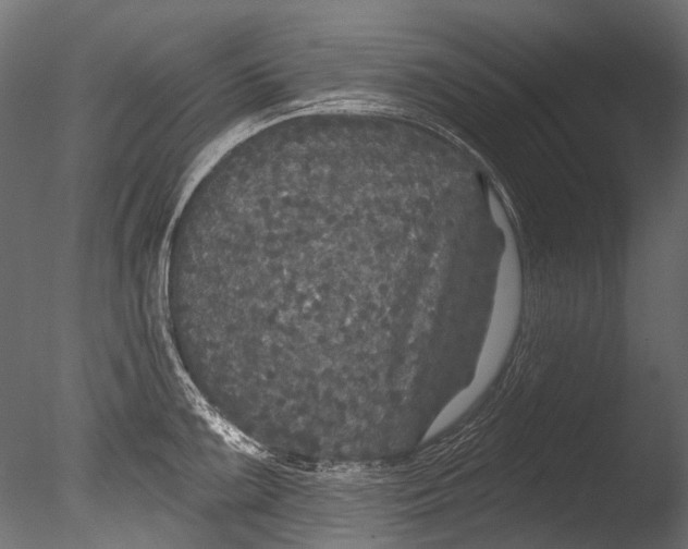 X0000085081099200703261251