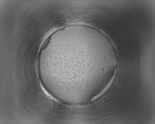 X0000085081100200703261251