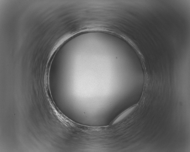 X0000085081101200703261251