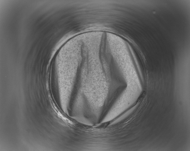 X0000085081102200703261251