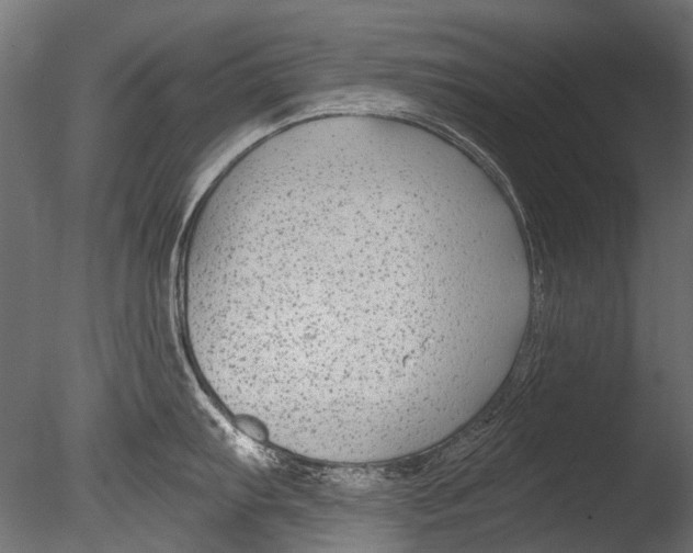 X0000085081103200703261251