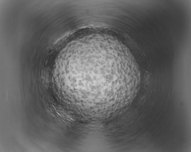 X0000085081110200703261251