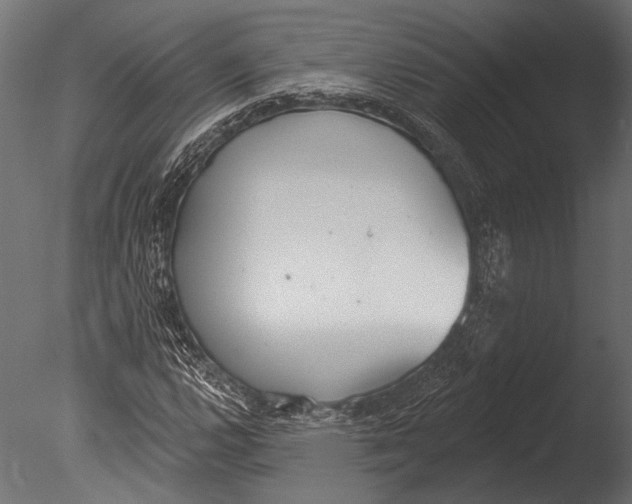 X0000085081112200703261251