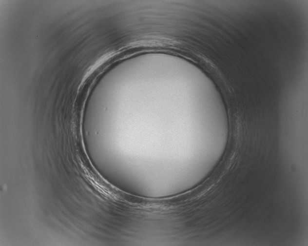 X0000085081114200703261251