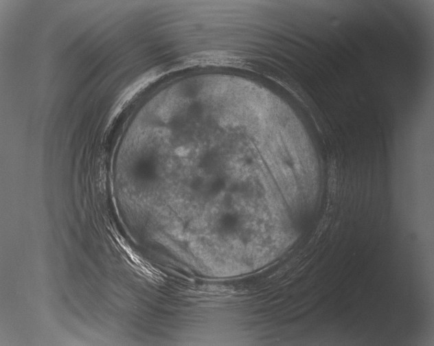 X0000085081115200703261251