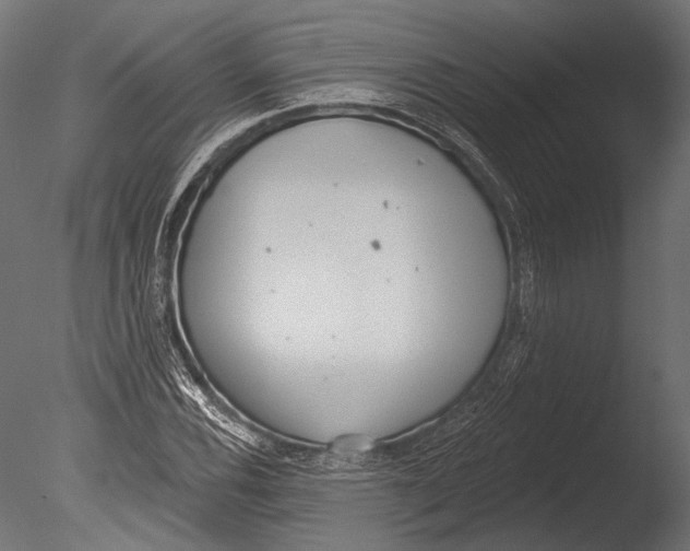 X0000085081116200703261251