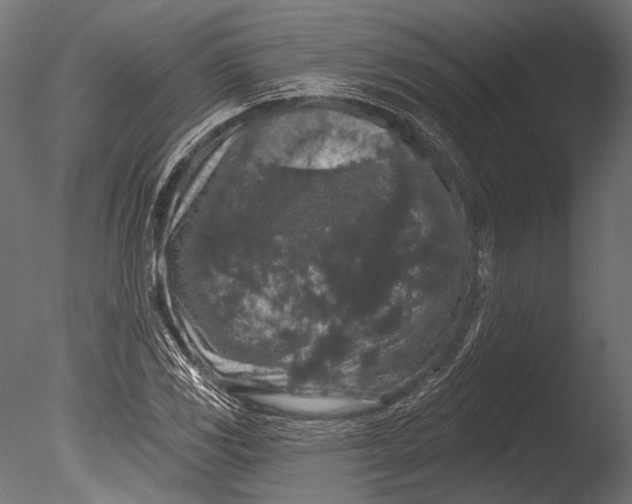 X0000085081117200703261251