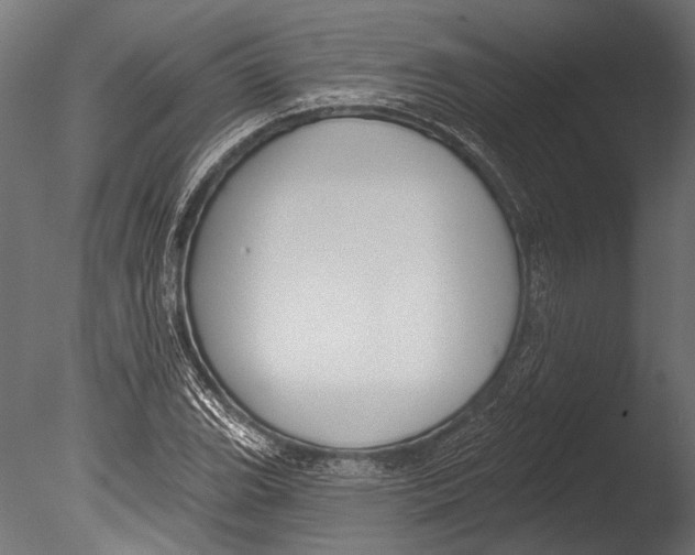 X0000085081119200703261251