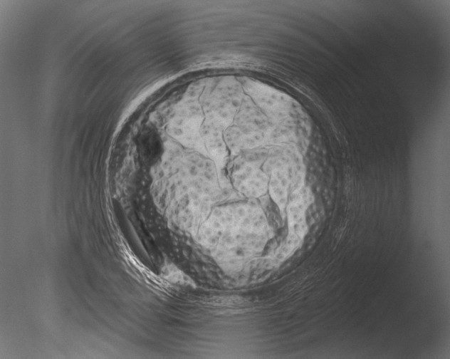 X0000085081120200703261251