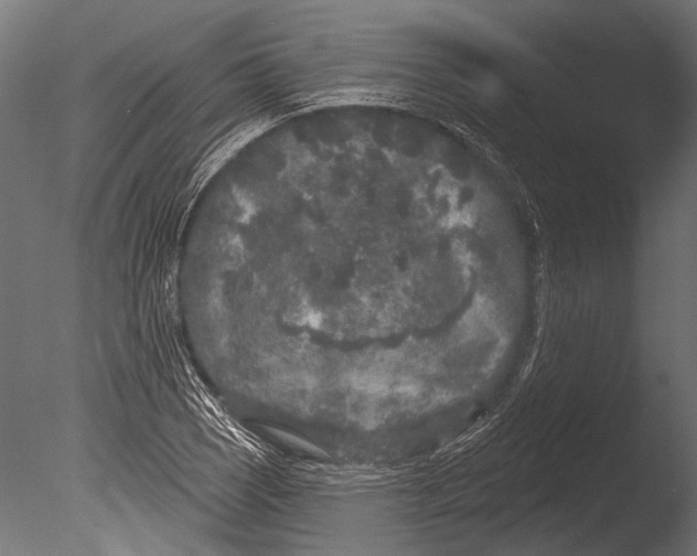 X0000085081121200703261251