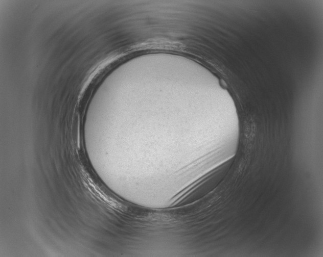 X0000085081123200703261251