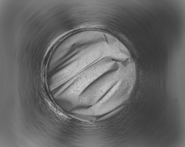 X0000085081124200703261251