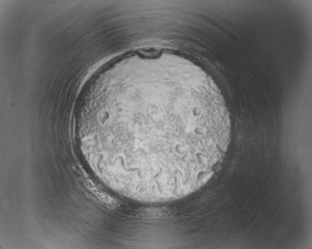 X0000085081125200703261251