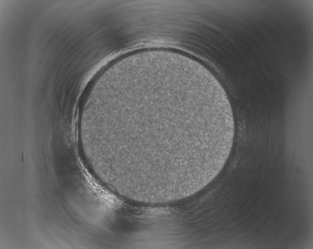 X0000085081126200703261251