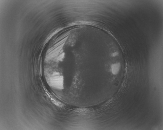 X0000085081127200703261251