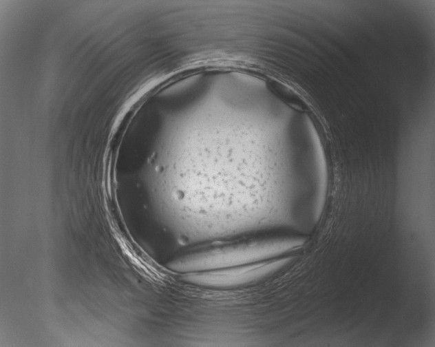 X0000085081128200703261251