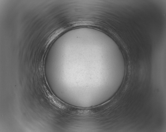 X0000085081129200703261251