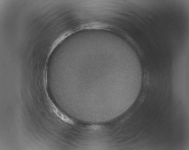 X0000085081130200703261251