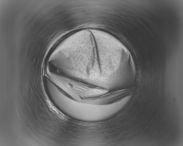 X0000085081132200703261251